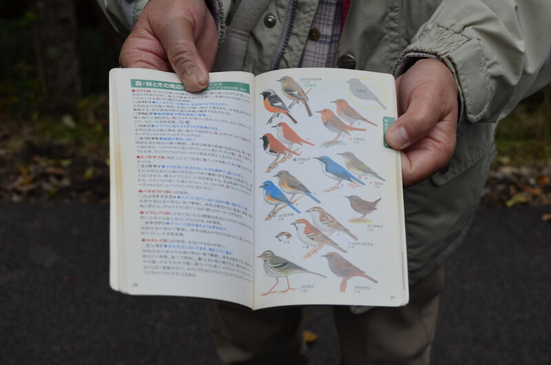 多治見　土岐川観察館開催イベント　探鳥会に参加しました